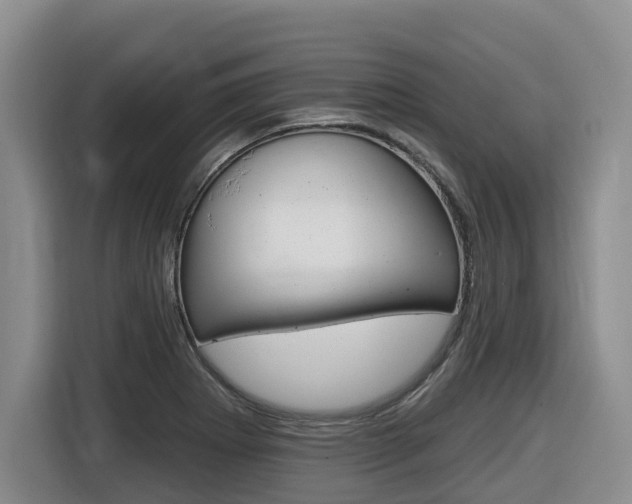 X0000116511273200912090940