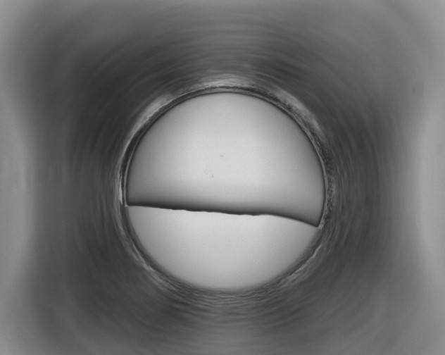 X0000116511274200912090940