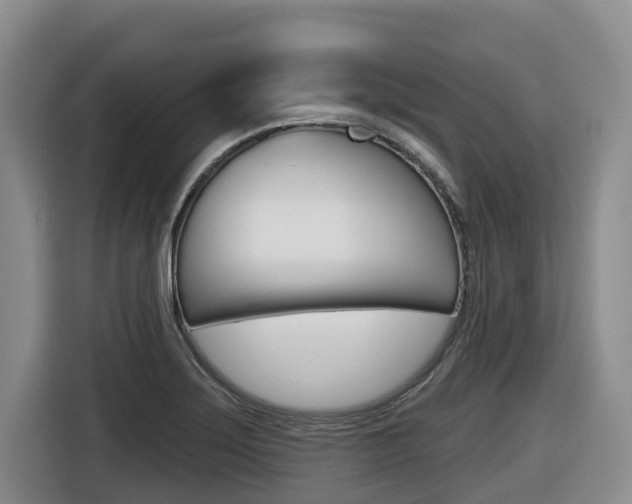 X0000116511275200912090940