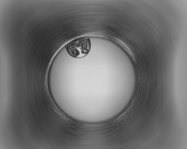 X0000116511276200912090940