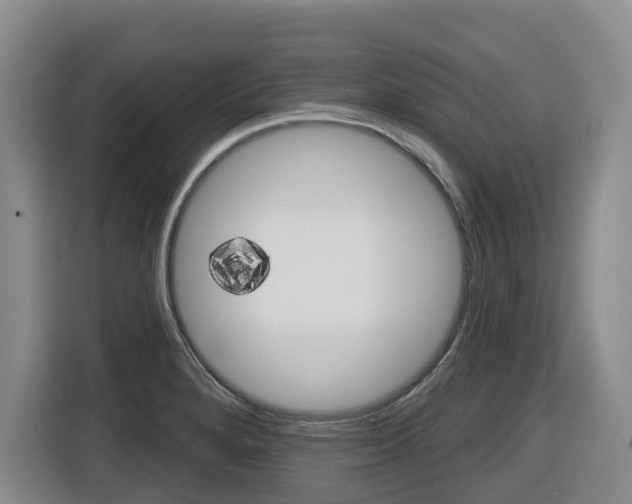 X0000116511280200912090940