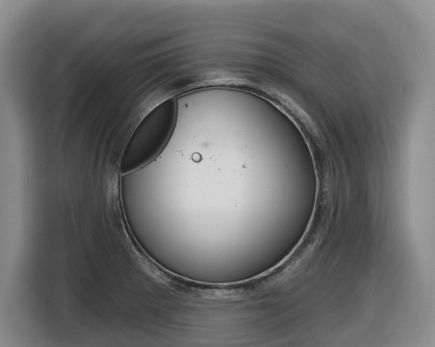 X0000116511281200912090940