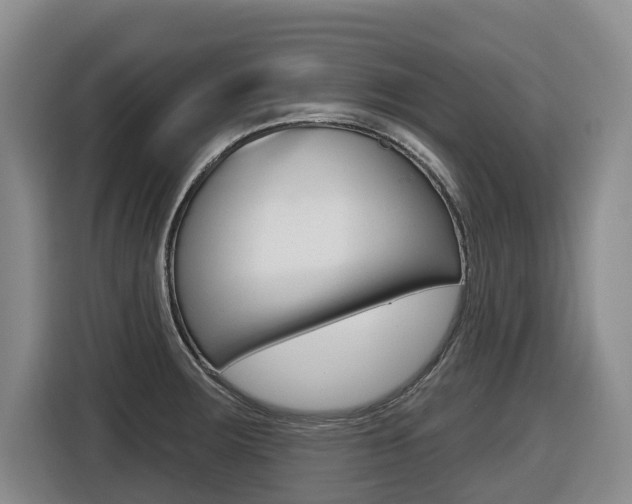 X0000116511283200912090940