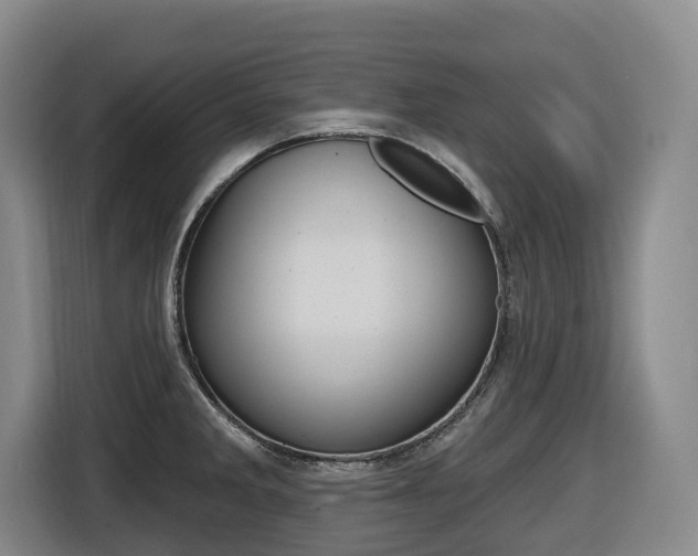 X0000116511285200912090940