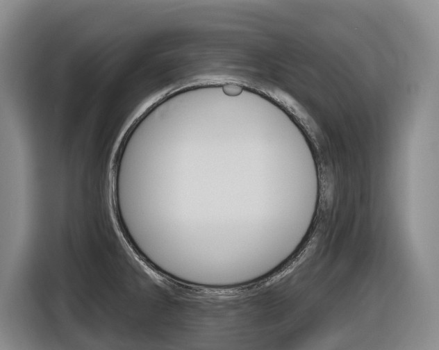 X0000116511286200912090940