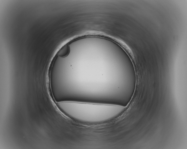 X0000116511287200912090940