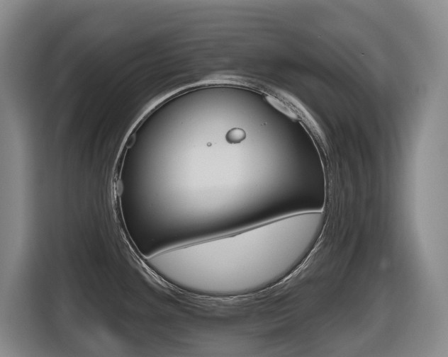 X0000116511292200912090940
