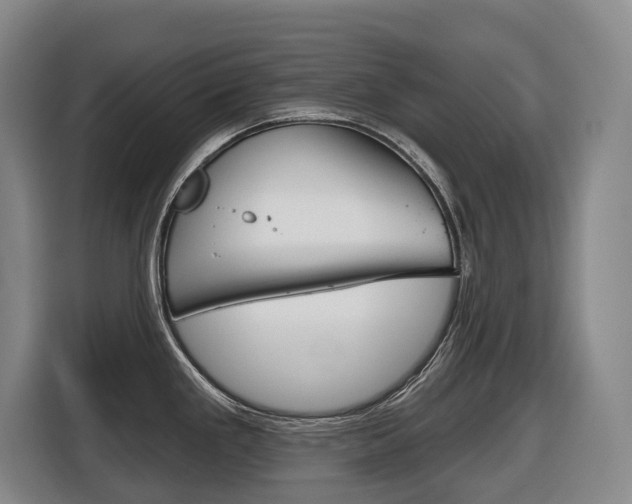 X0000116511293200912090940