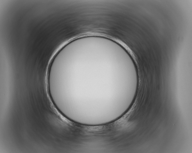 X0000116511294200912090940