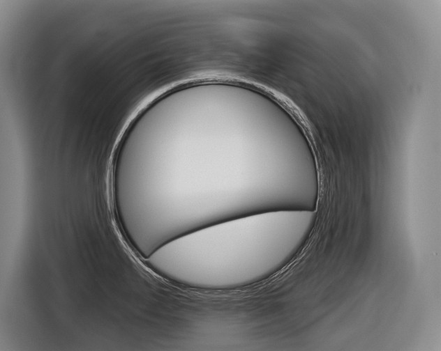 X0000116511295200912090940