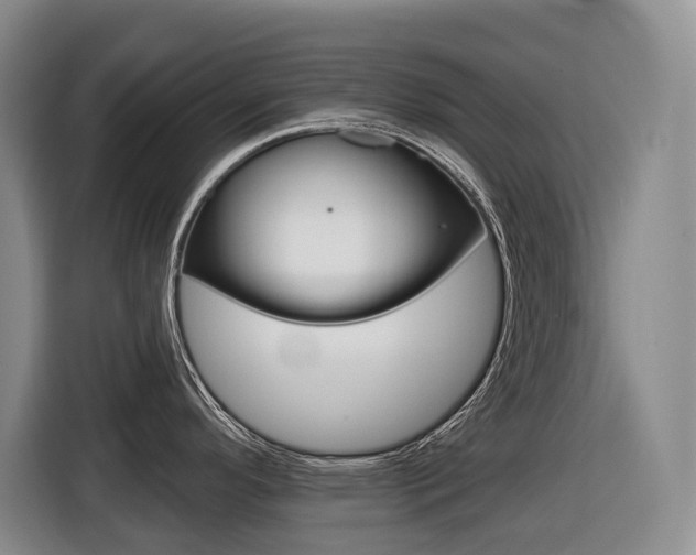 X0000116511296200912090940