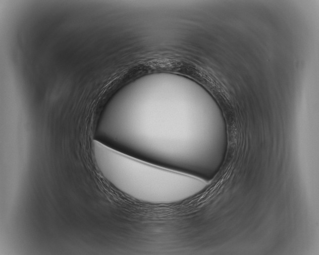 X0000116511297200912090939
