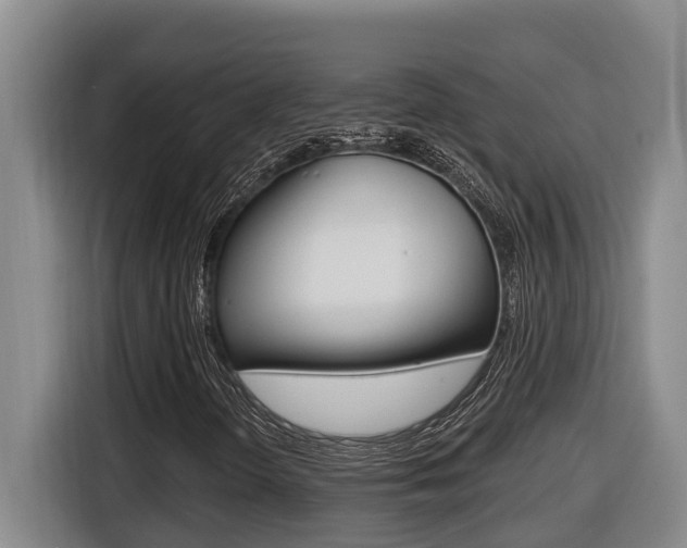 X0000116511298200912090939