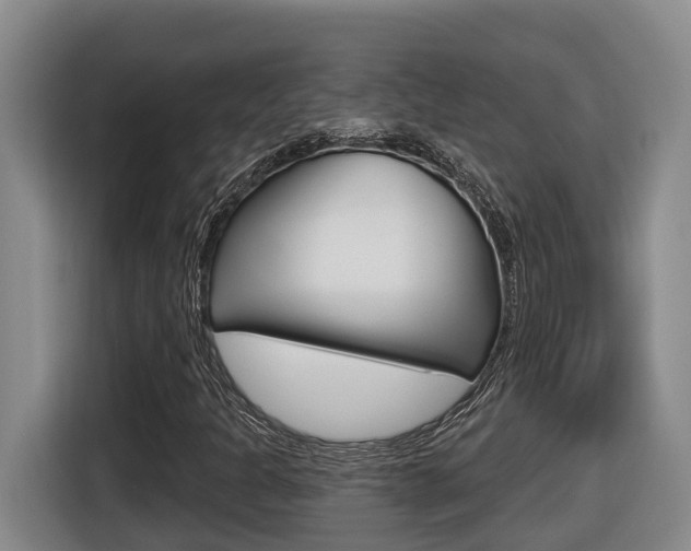 X0000116511301200912090939