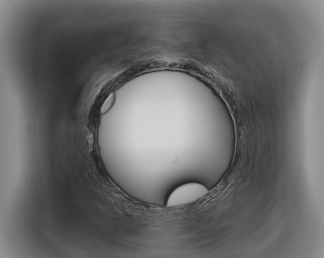 X0000116511302200912090939