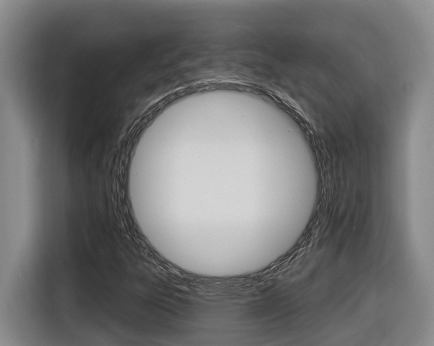 X0000116511303200912090939