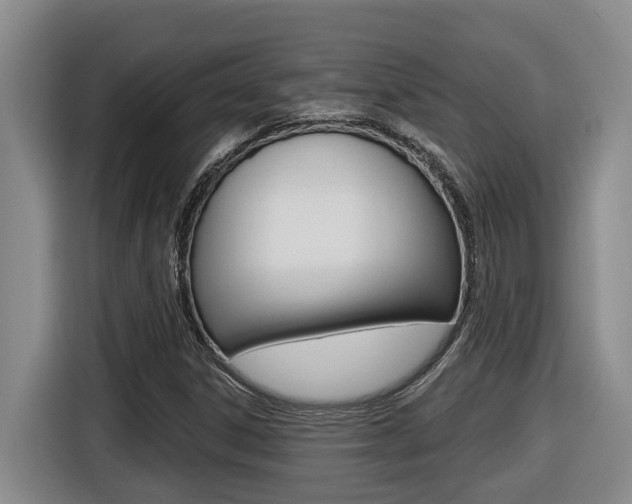 X0000116511306200912090939