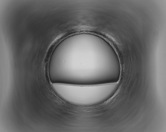 X0000116511309200912090939