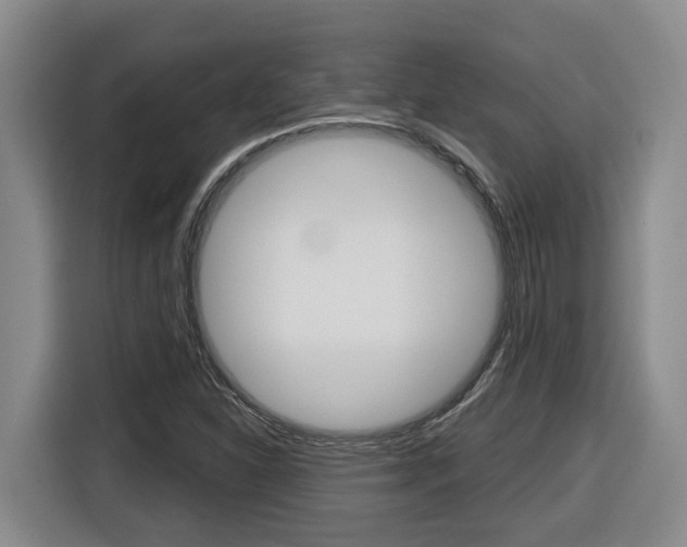 X0000116511310200912090939