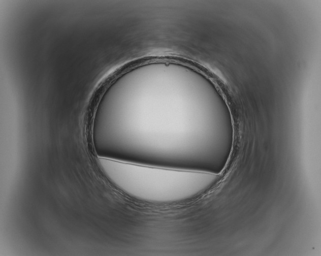X0000116511311200912090939
