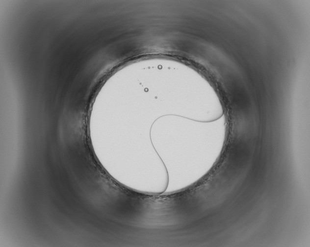 X0000116511314200912090939