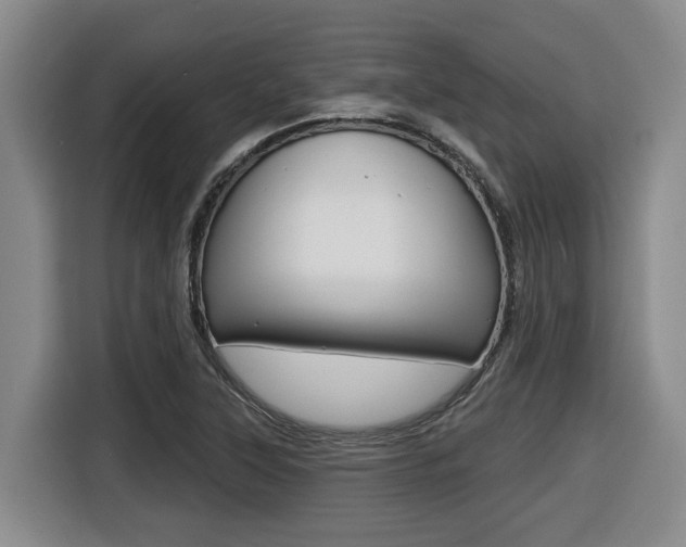 X0000116511315200912090939