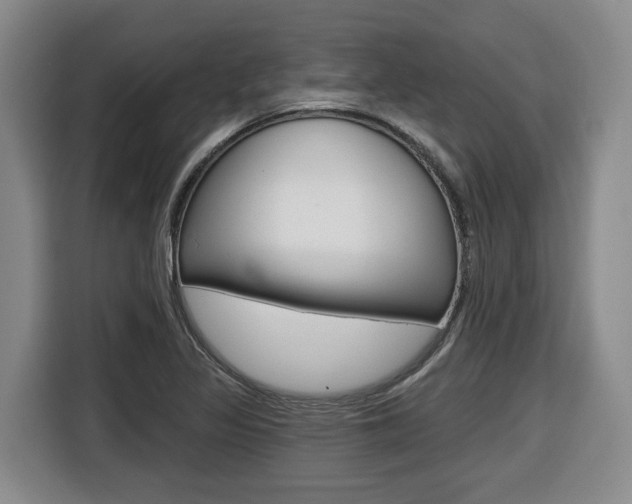 X0000116511317200912090939