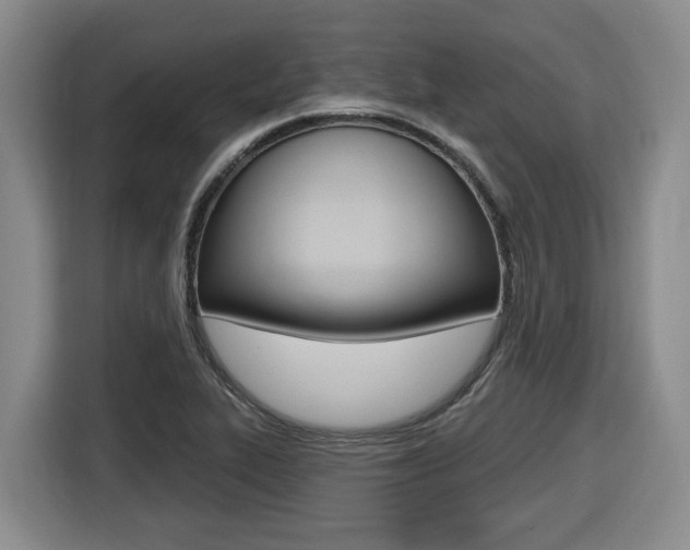 X0000116511319200912090939