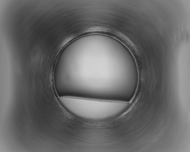 X0000116511321200912090939
