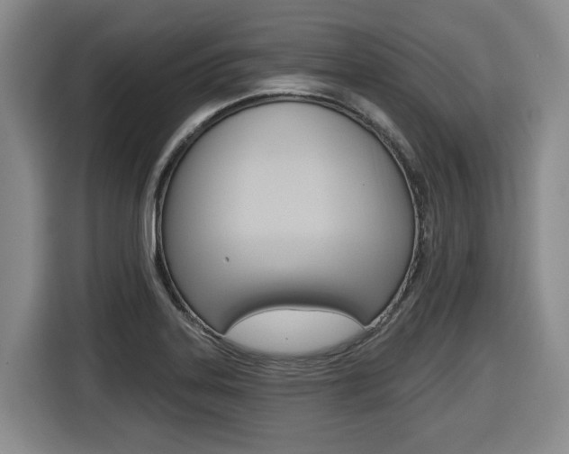 X0000116511323200912090939