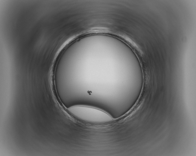 X0000116511325200912090939