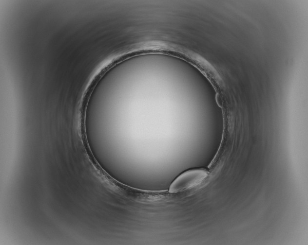 X0000116511326200912090939