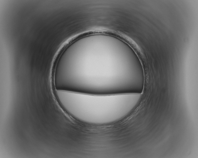 X0000116511327200912090939