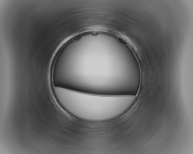 X0000116511331200912090939