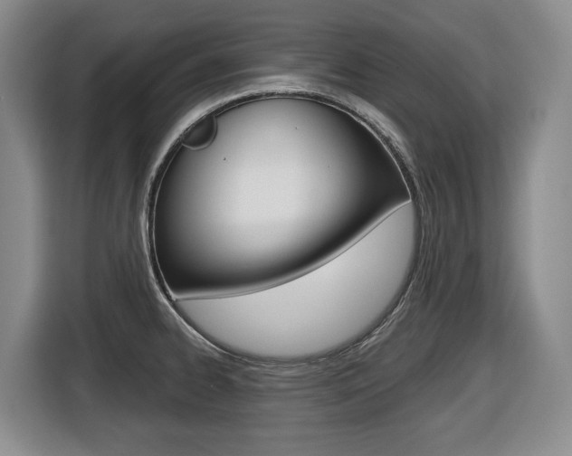 X0000116511334200912090939