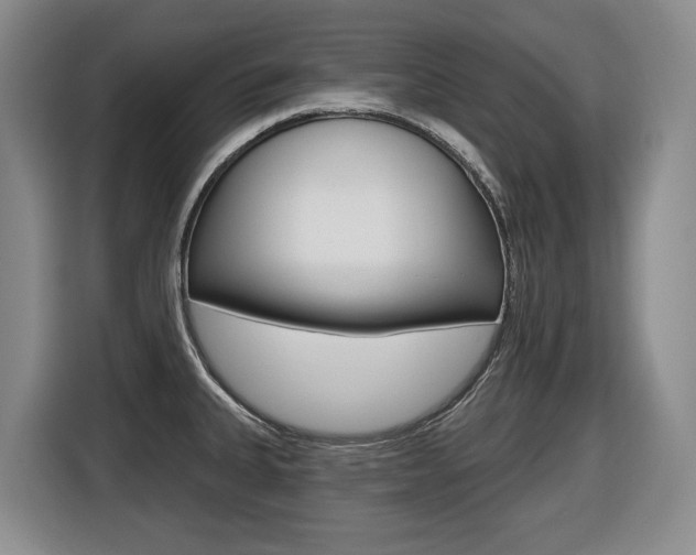 X0000116511335200912090939