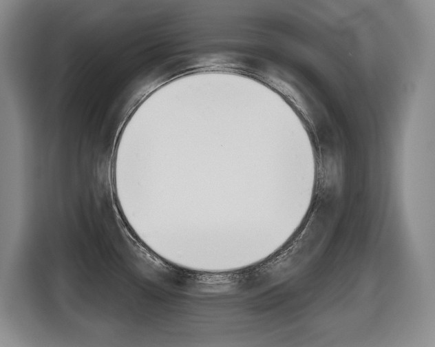 X0000116511338200912090939