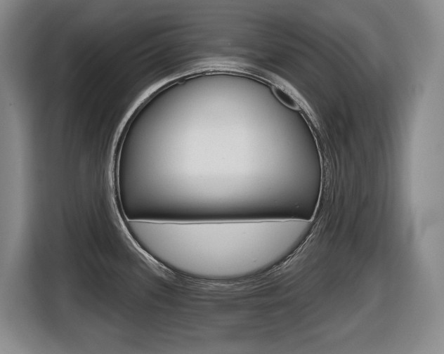 X0000116511339200912090939