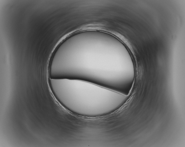 X0000116511341200912090940