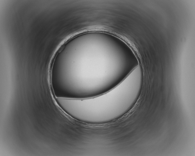 X0000116511342200912090940