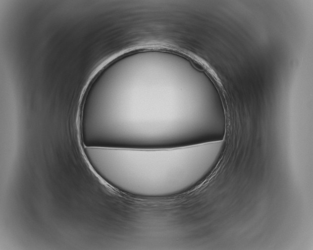 X0000116511343200912090940