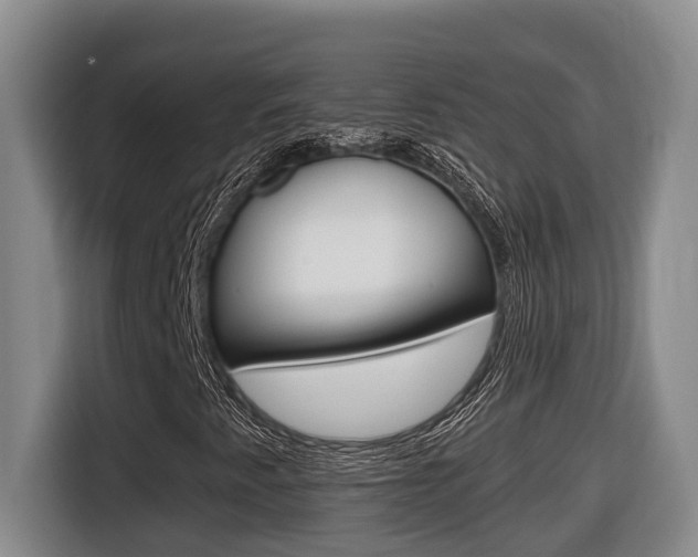 X0000116511345200912090939