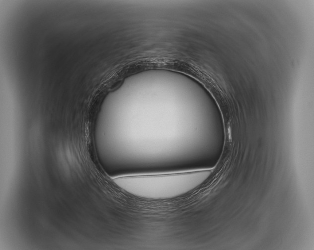 X0000116511347200912090939