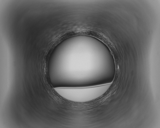 X0000116511348200912090939