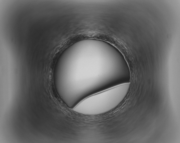X0000116511349200912090939
