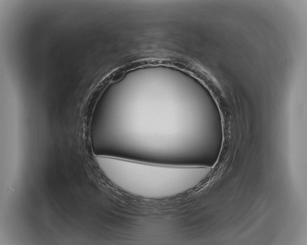 X0000116511352200912090939