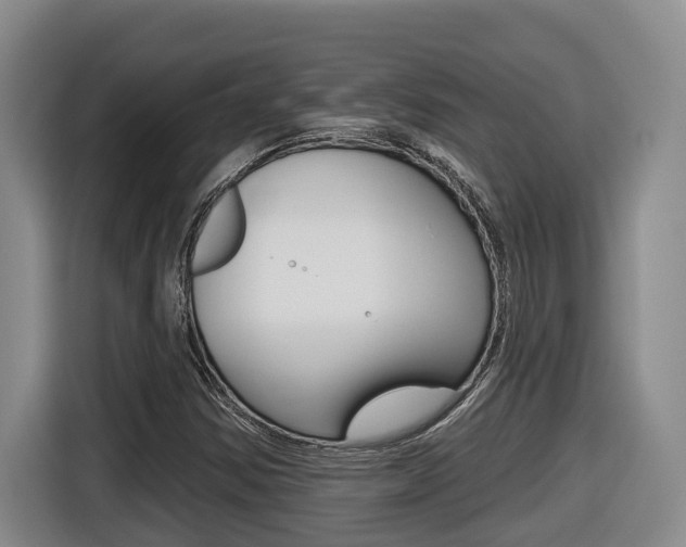 X0000116511354200912090939