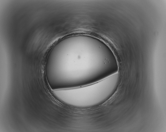 X0000116511355200912090939