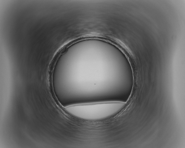 X0000116511356200912090939