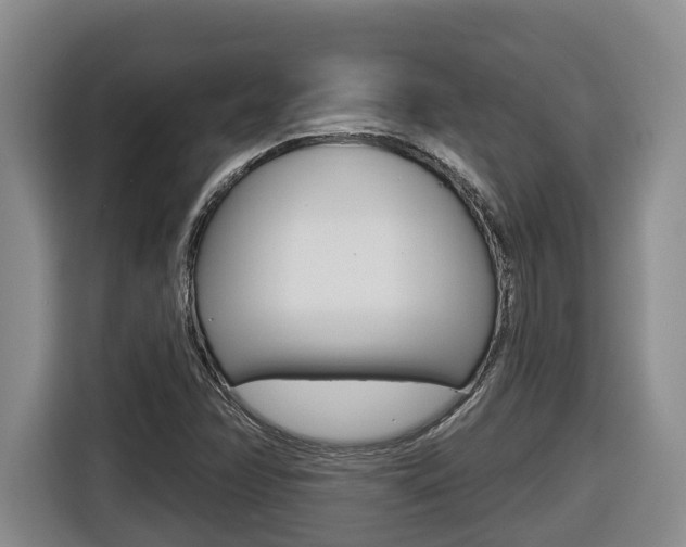 X0000116511358200912090939